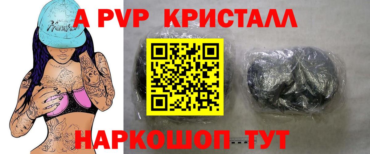 дарнет шоп  Вход с VPN  A PVP  Ишим  А ПВП крисы CK 
